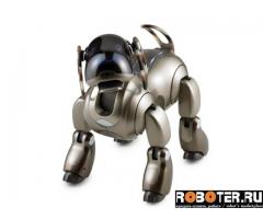 AIBO ERS-7 M3 Золотистый