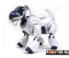 AIBO ERS-7 M2, белый